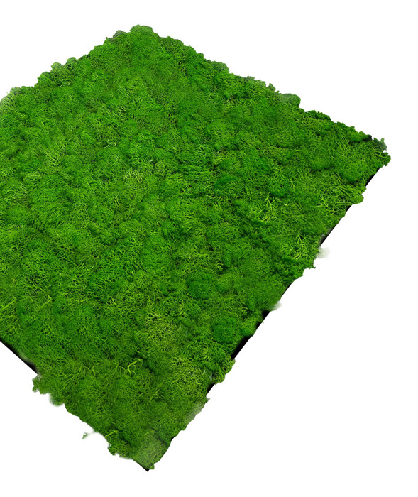 Jangal Modular Wall mospanel 52 x 52 cm - Rich Green